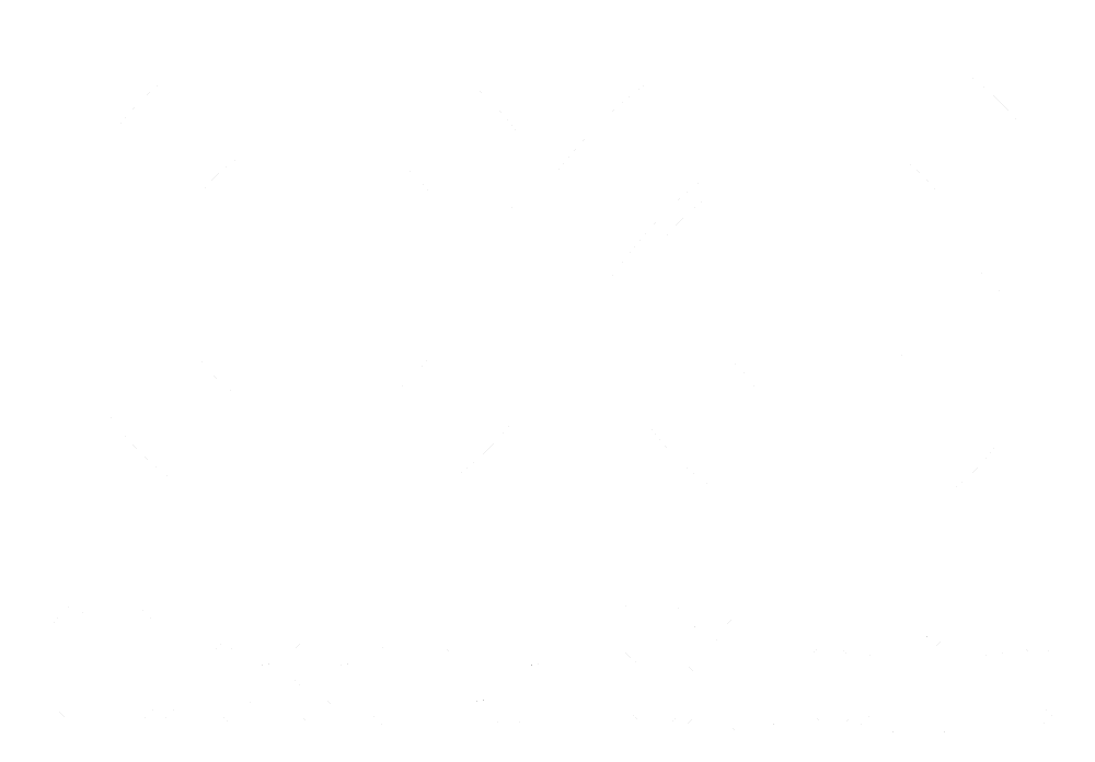 Ossos